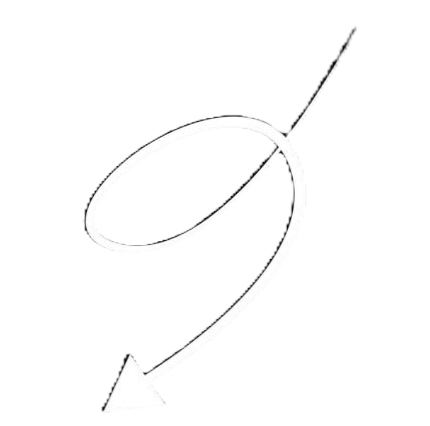 Arrow pointing to WhatsApp